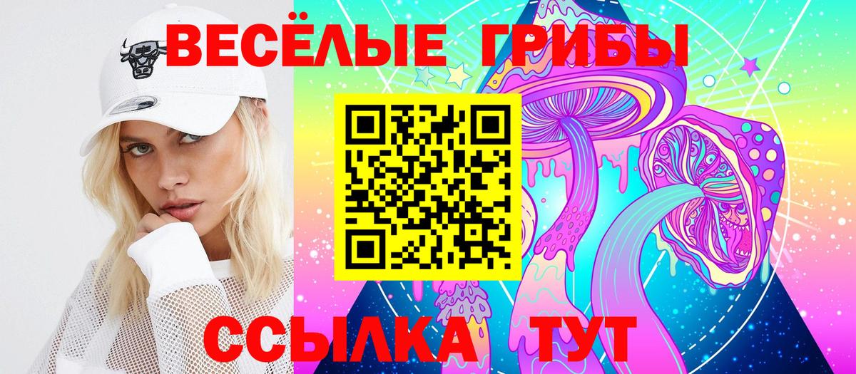 Петропавловск-Камчатский  Галлюциногенные грибы MAGIC MUSHROOMS  Вход с VPN 